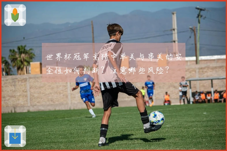 世界杯冠军竞猜中单关与串关的安全性如何判断？注意哪些风险？