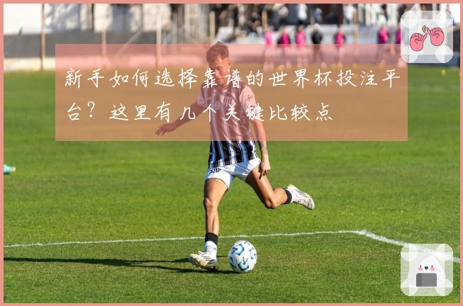 新手如何选择靠谱的世界杯投注平台？这里有几个关键比较点