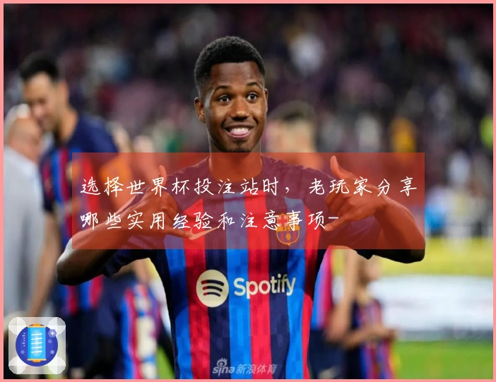 选择世界杯投注站时，老玩家分享哪些实用经验和注意事项-