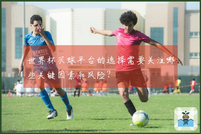 世界杯买球平台的选择需要关注哪些关键因素和风险?