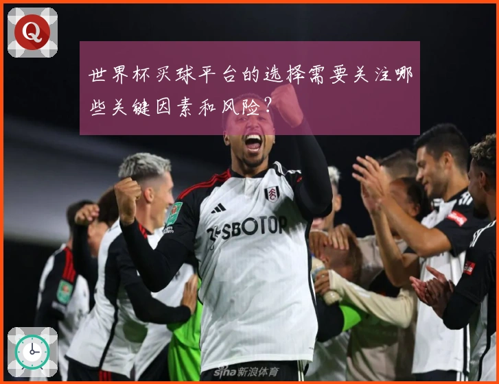 世界杯买球平台的选择需要关注哪些关键因素和风险？